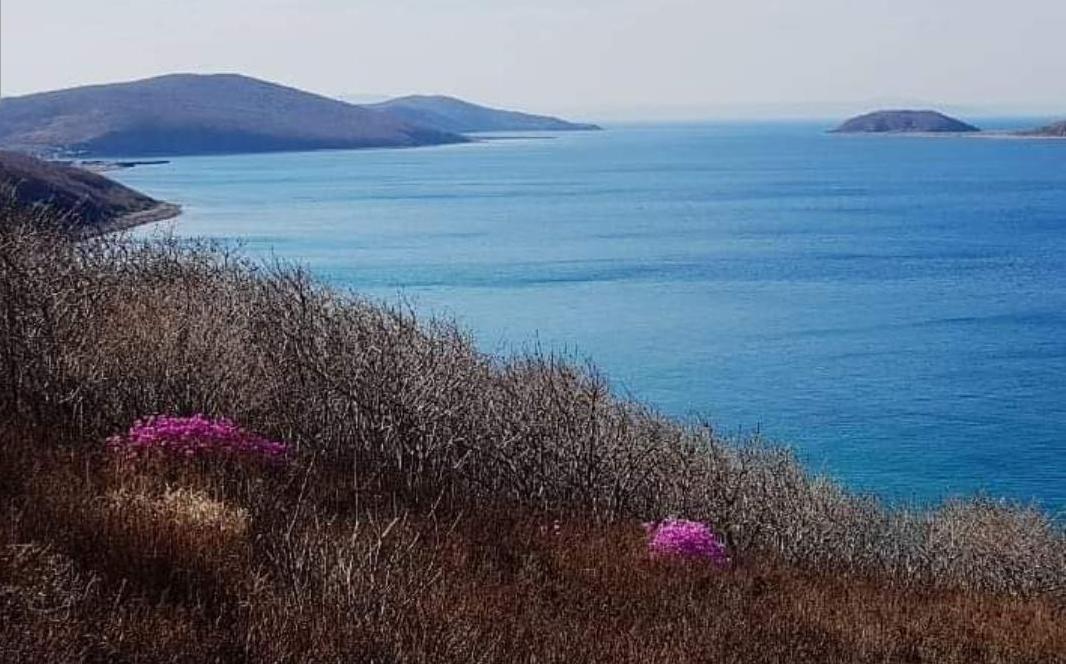 Каменка приморский край дальнегорский. Поселок Тайга Приморский край.