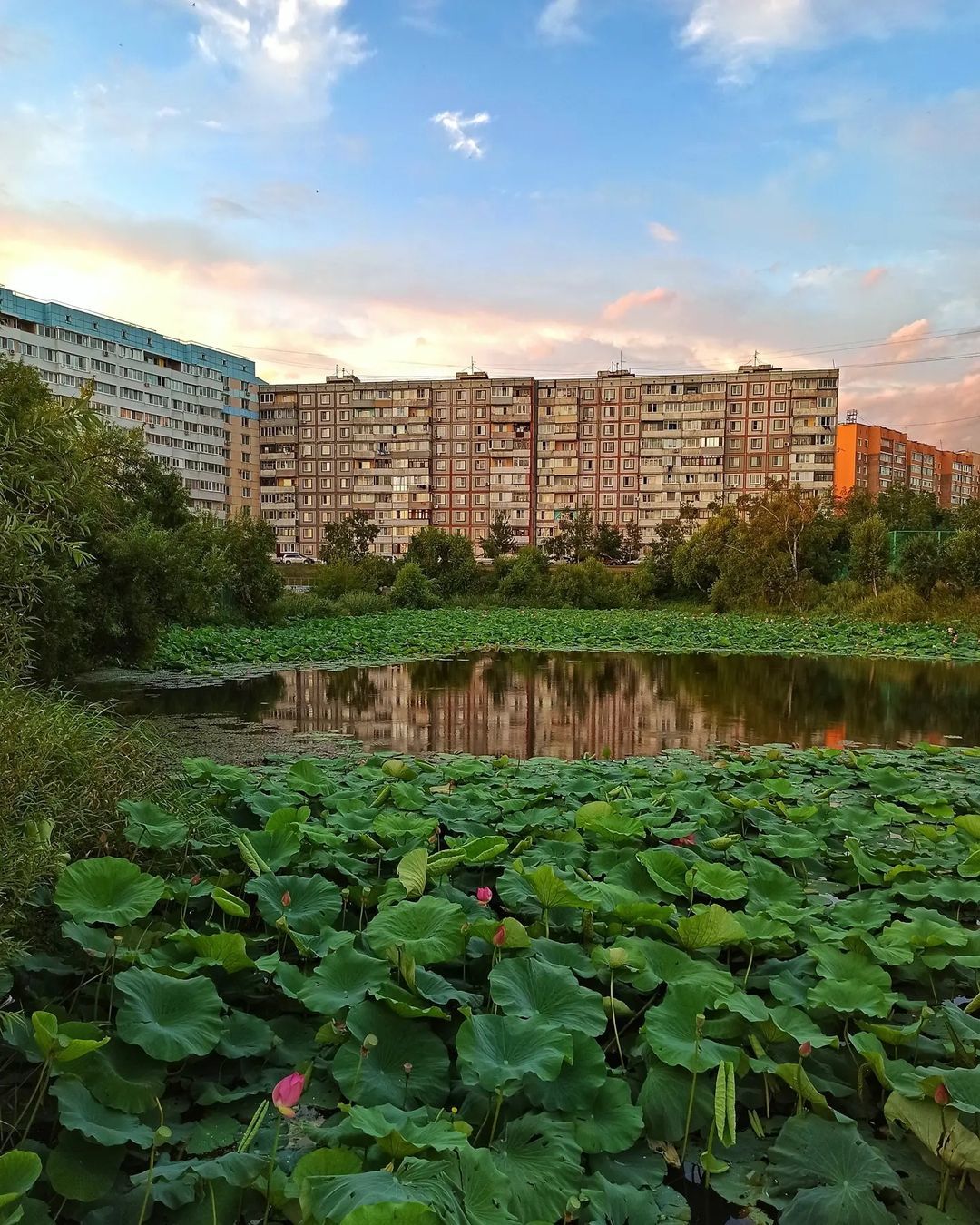 Погода поселок трудовое приморский край. Трудовое (Приморский край). Поселок Трудовое. Трудовое Владивосток. Лермонтова 68 Владивосток.