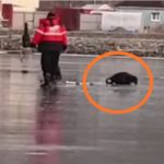 «Проклятое место, уже второй случай за два дня»: рыбак ушёл под лёд в Приморье 