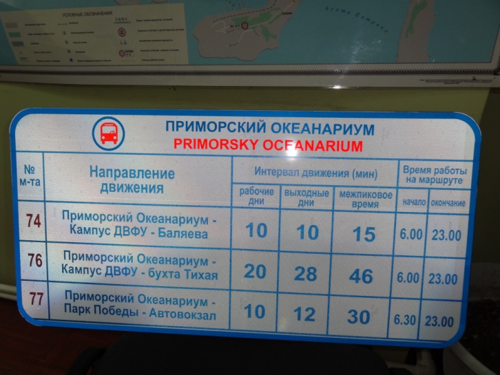 Океанариум как доехать на автобусе. Владивосток автобус до океанариума. Автобус на русский остров Владивосток. Автобусы на русский остров маршруты. Автобус Владивосток русский остров расписание автобусов.